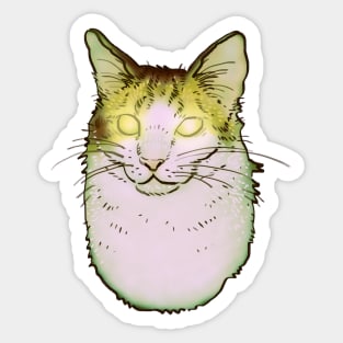 spooky scary glowing eyes hover cat cryptid meme Sticker